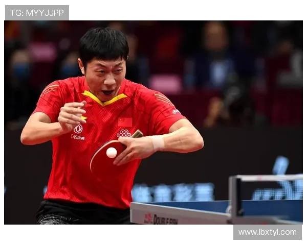 南京乒乓球队荣登速度排行榜第一名引发广泛关注与热议