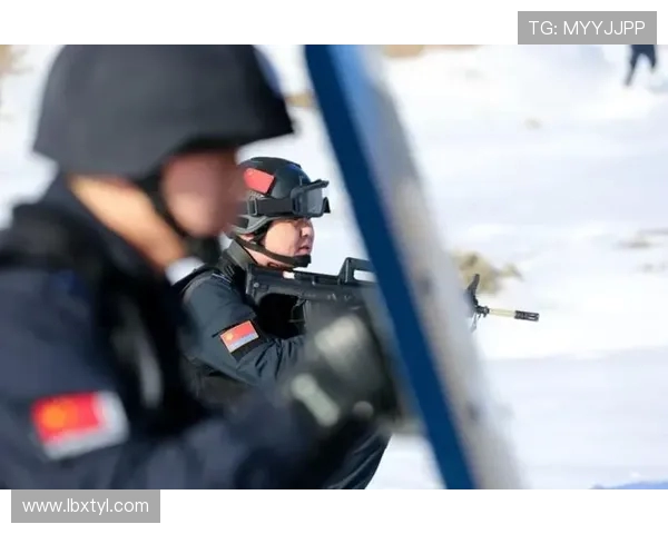 西安排球队战术意识与团队协作的深度分析与探讨