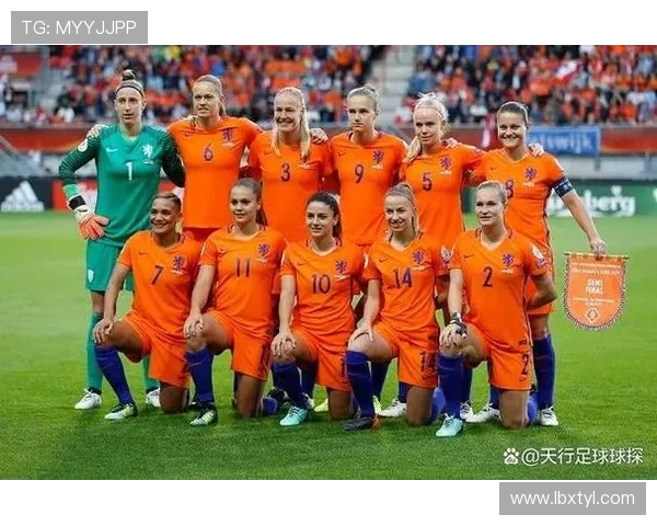 荷兰与瑞典足球实力对比分析哪支球队更具竞争优势