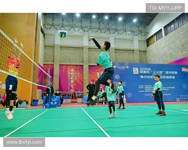 成都排球队阵地战革新探索与实践的全景分析与展望