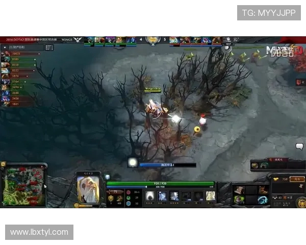 DOTA2盛宴：深入解析IG战队的比赛策略与经验分享