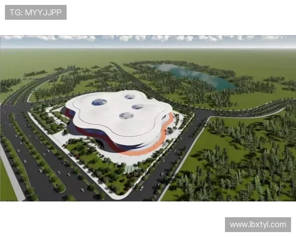 南京极限运动队动态追踪与发展现状分析