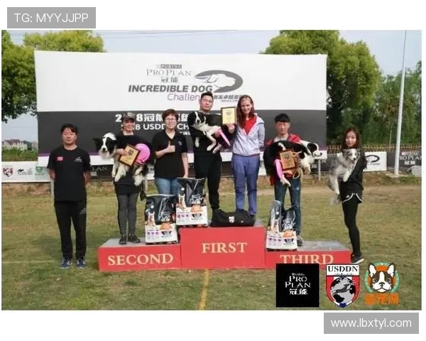 广州飞盘队在城市马拉松中的默契配合与精彩表现分析