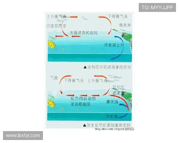 武汉排球队速度表现分析及其对比赛胜负的影响探讨